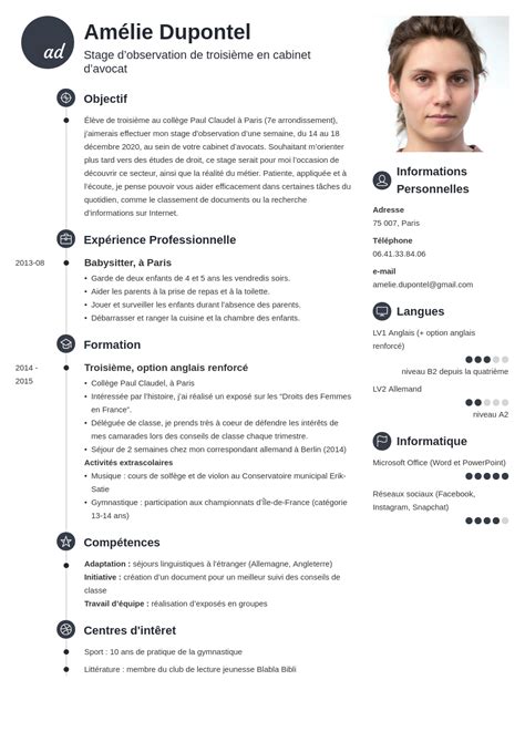 Exemple de cv