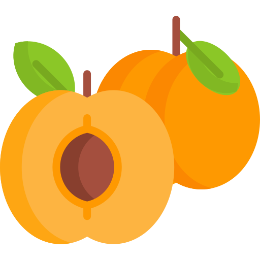 EARL Garaix - Abricots